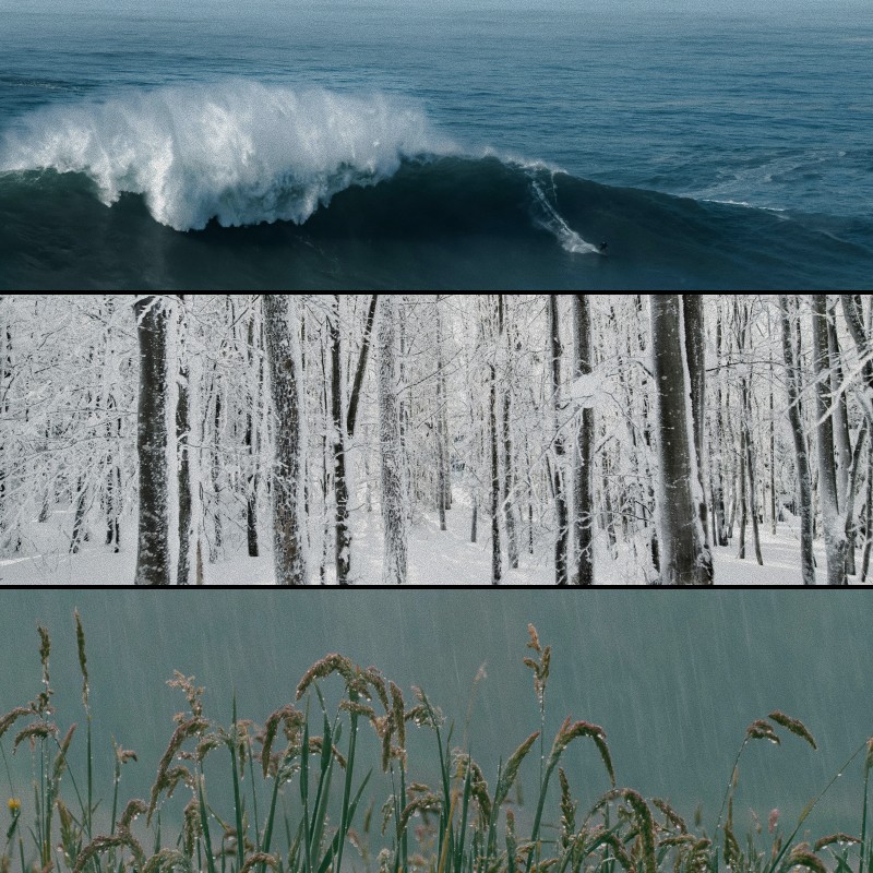 Ocean wave, snowy forest, and rain on grass